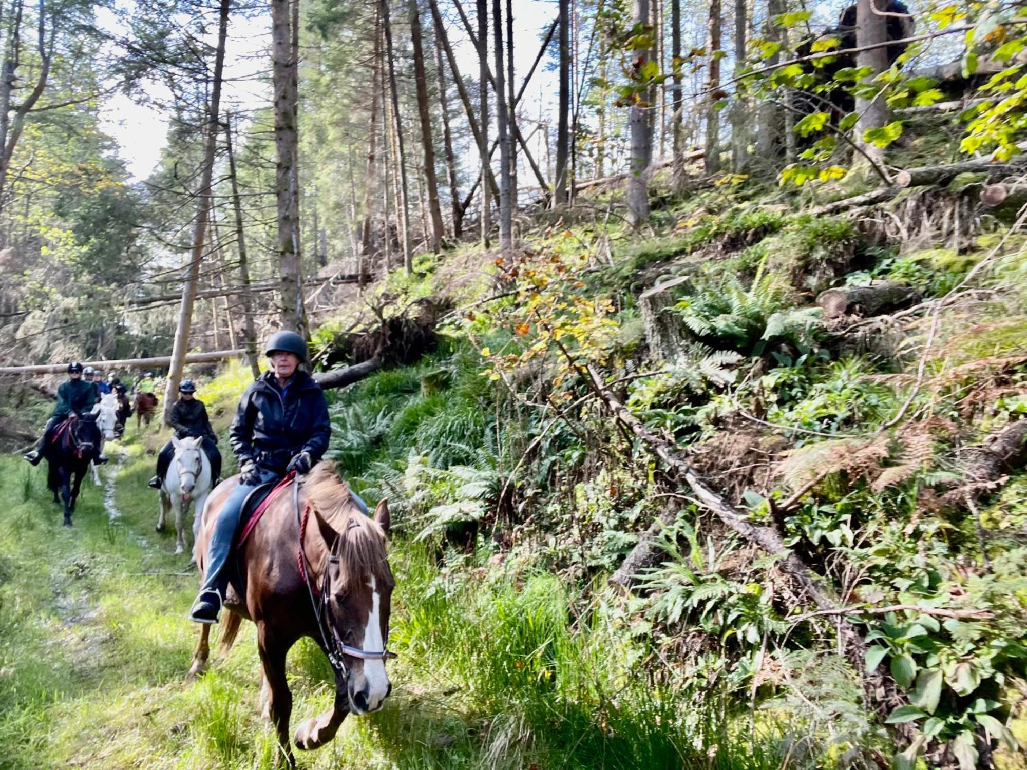 Scottish Equi B&B Ланарк Екстер'єр фото